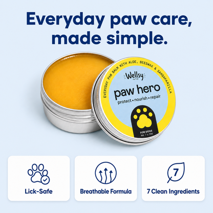 Protect, Nourish & Repair Your Dog’s Paws with Wellsy's Paw Hero Balm