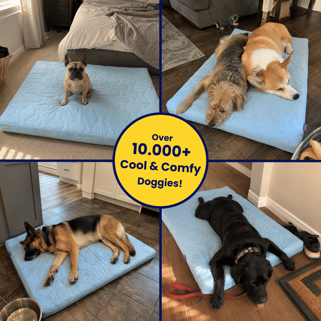 Cool, Cushion & Comfort Your Dog with Wellsy’s Cooling Cloud Dog Bed