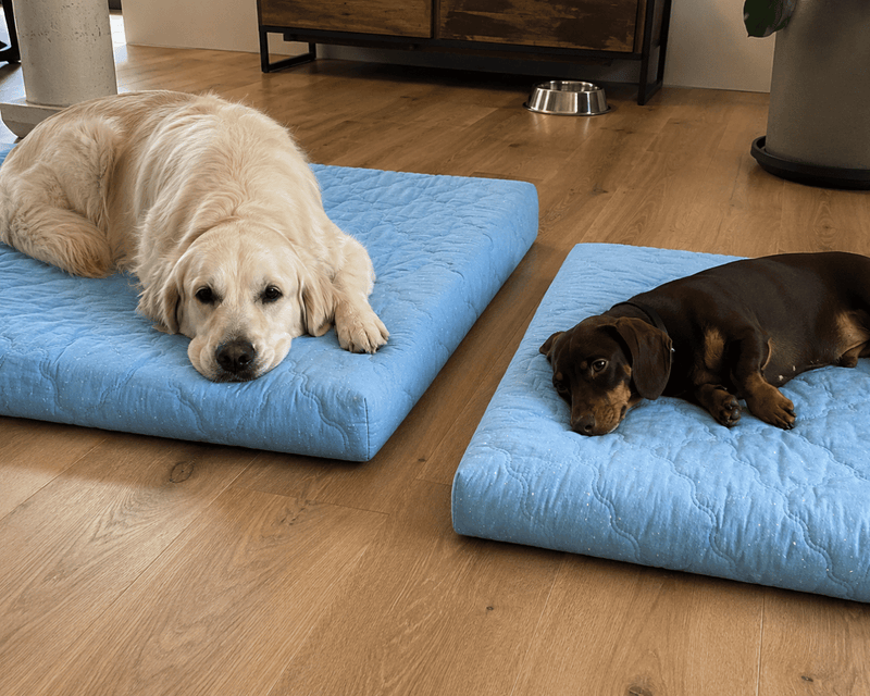 Wellsy Paw Hero tin and a happy dog