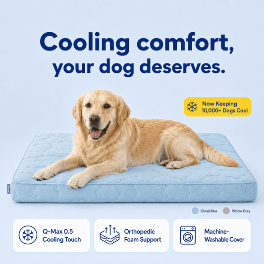 Cool, Cushion & Comfort Your Dog with Wellsy’s Cooling Cloud Dog Bed