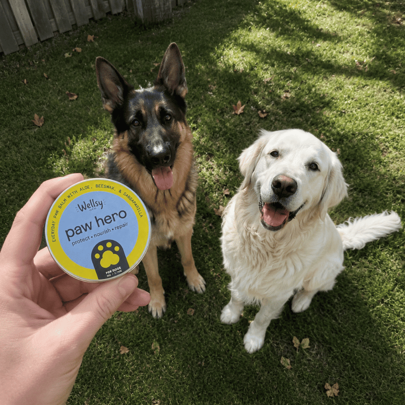 Wellsy Paw Hero tin and a happy dog