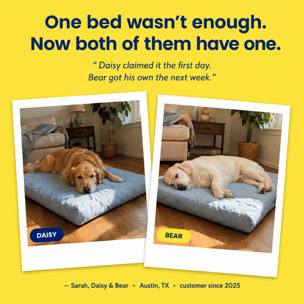 Cool, Cushion & Comfort Your Dog with Wellsy’s Cooling Cloud Dog Bed