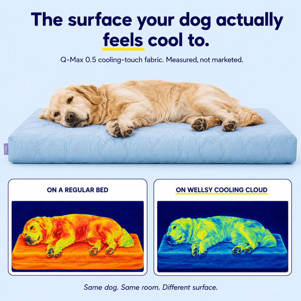Cool, Cushion & Comfort Your Dog with Wellsy’s Cooling Cloud Dog Bed