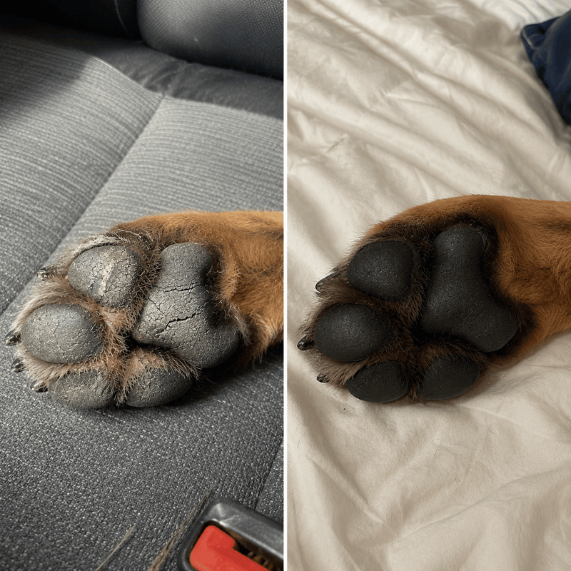 You see results in 3–5 days