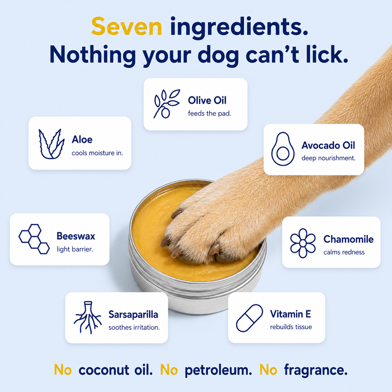 Protect, Nourish & Repair Your Dog’s Paws with Wellsy's Paw Hero Balm