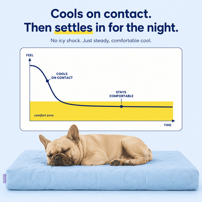 Cool, Cushion & Comfort Your Dog with Wellsy’s Cooling Cloud Dog Bed