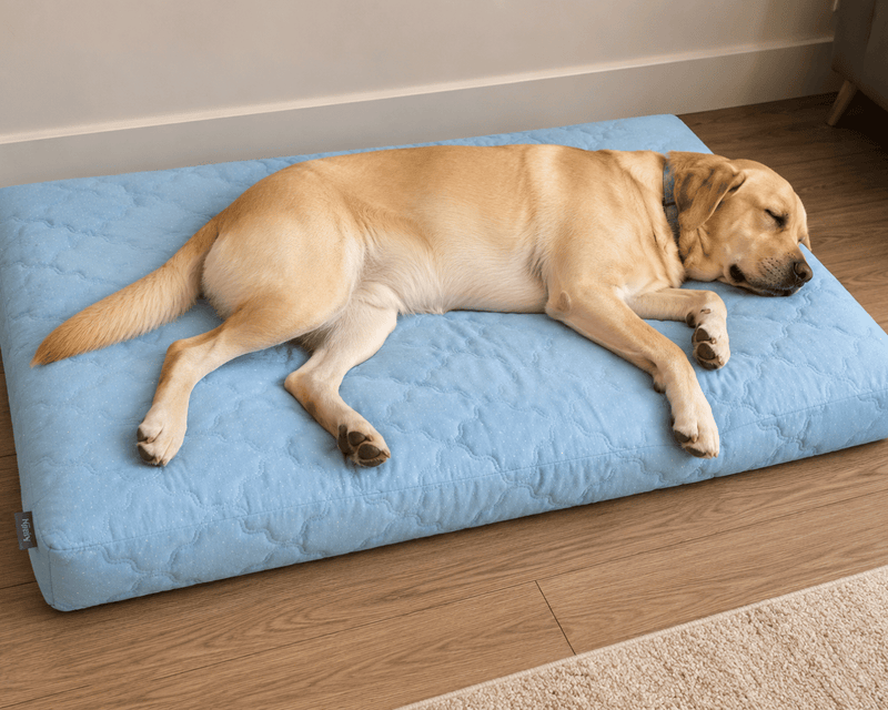 Built for full-body sprawl