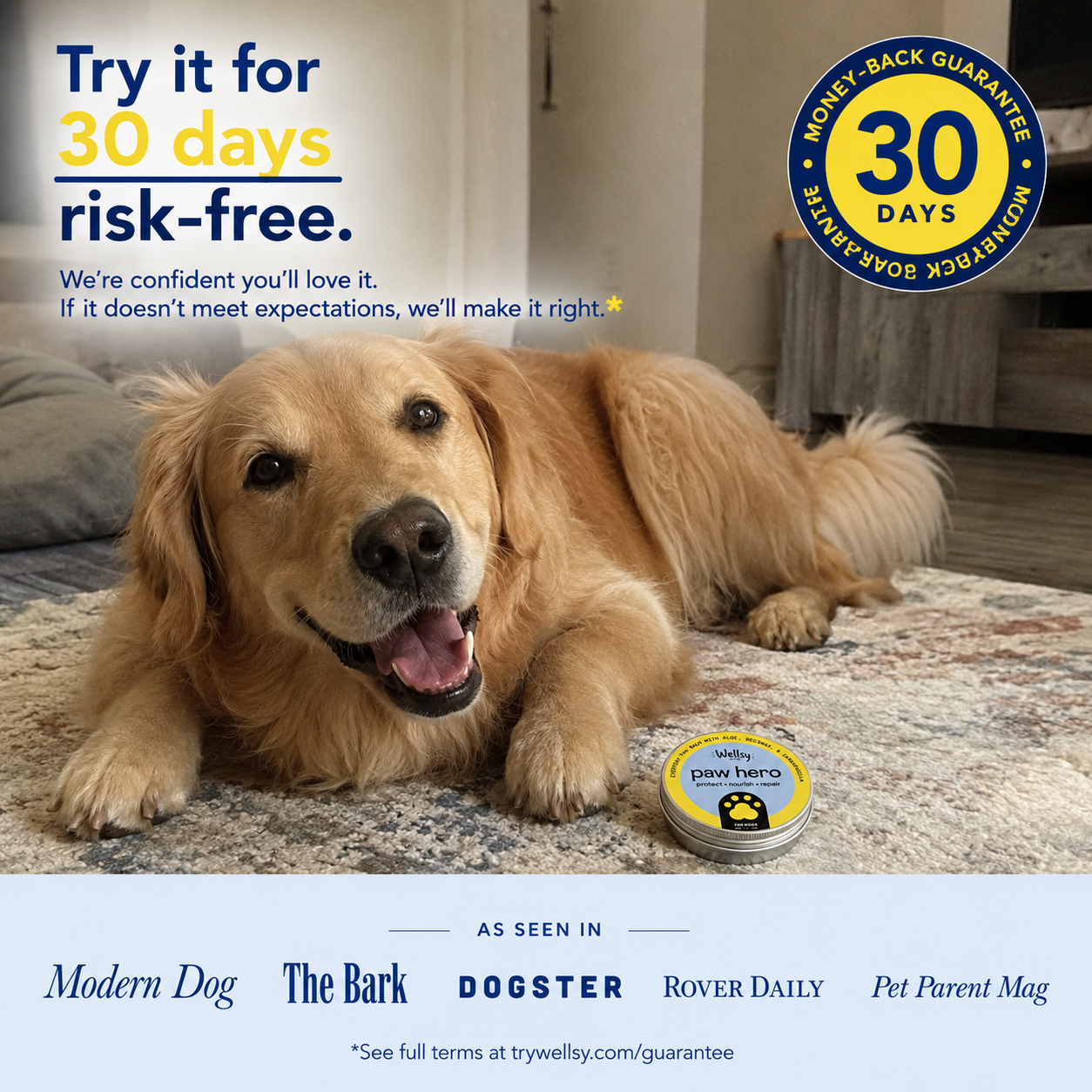 Protect, Nourish & Repair Your Dog’s Paws with Wellsy's Paw Hero Balm