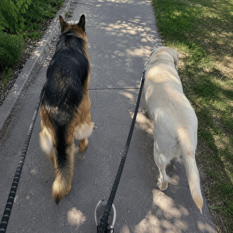 Works on hot pavement, snow salt, and allergy flares