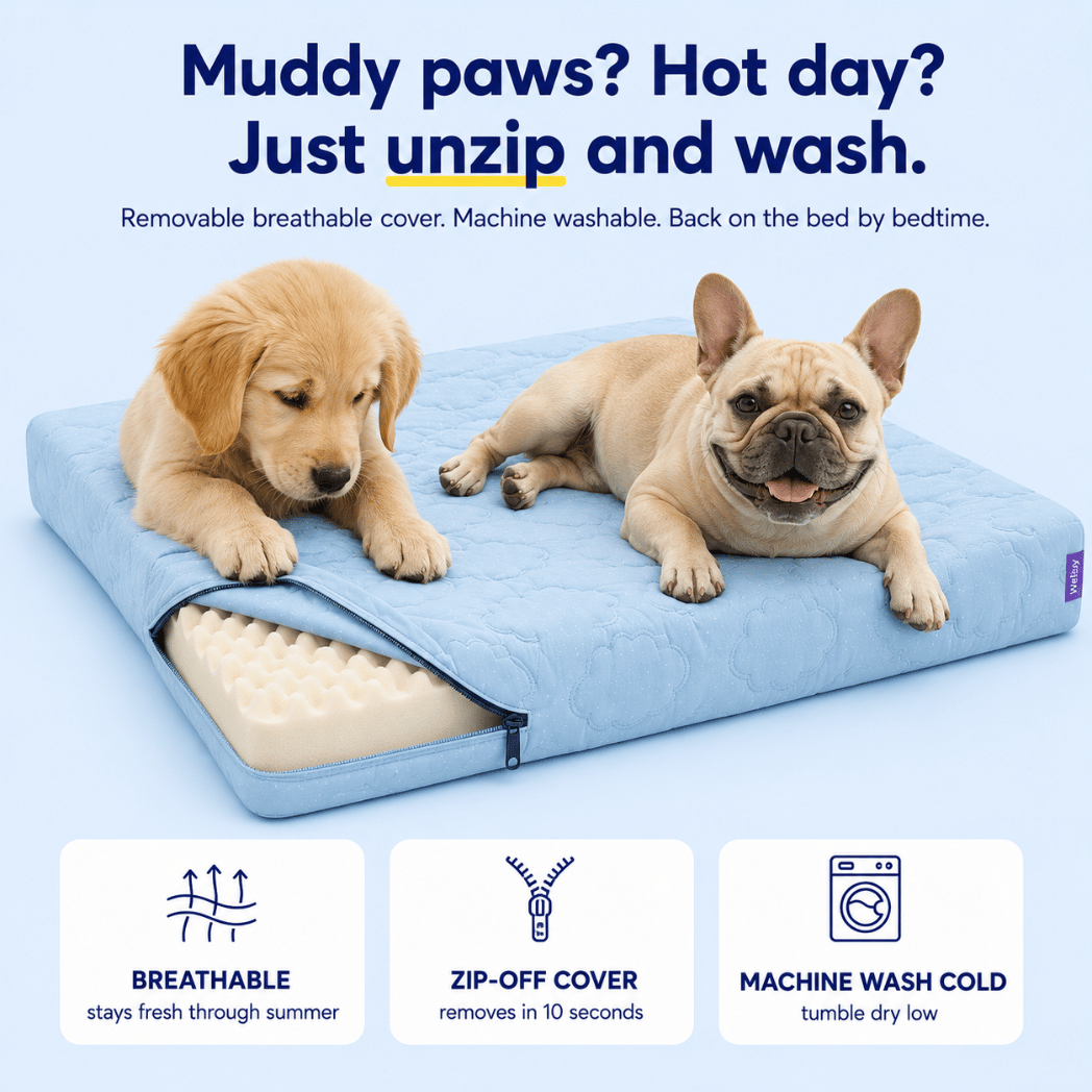 Cool, Cushion & Comfort Your Dog with Wellsy’s Cooling Cloud Dog Bed