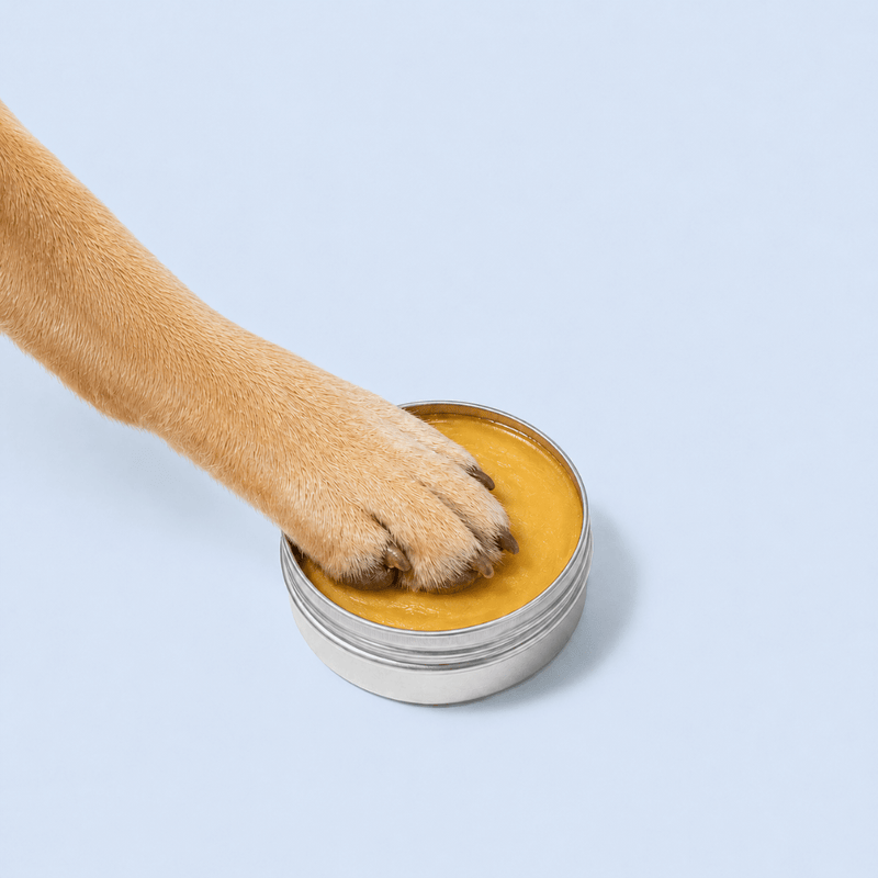 If it doesn't work, you keep the tin