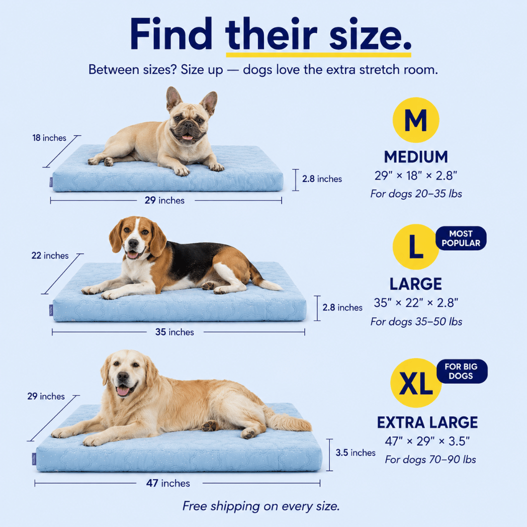 Cool, Cushion & Comfort Your Dog with Wellsy’s Cooling Cloud Dog Bed