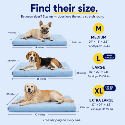 Cool, Cushion & Comfort Your Dog with Wellsy’s Cooling Cloud Dog Bed