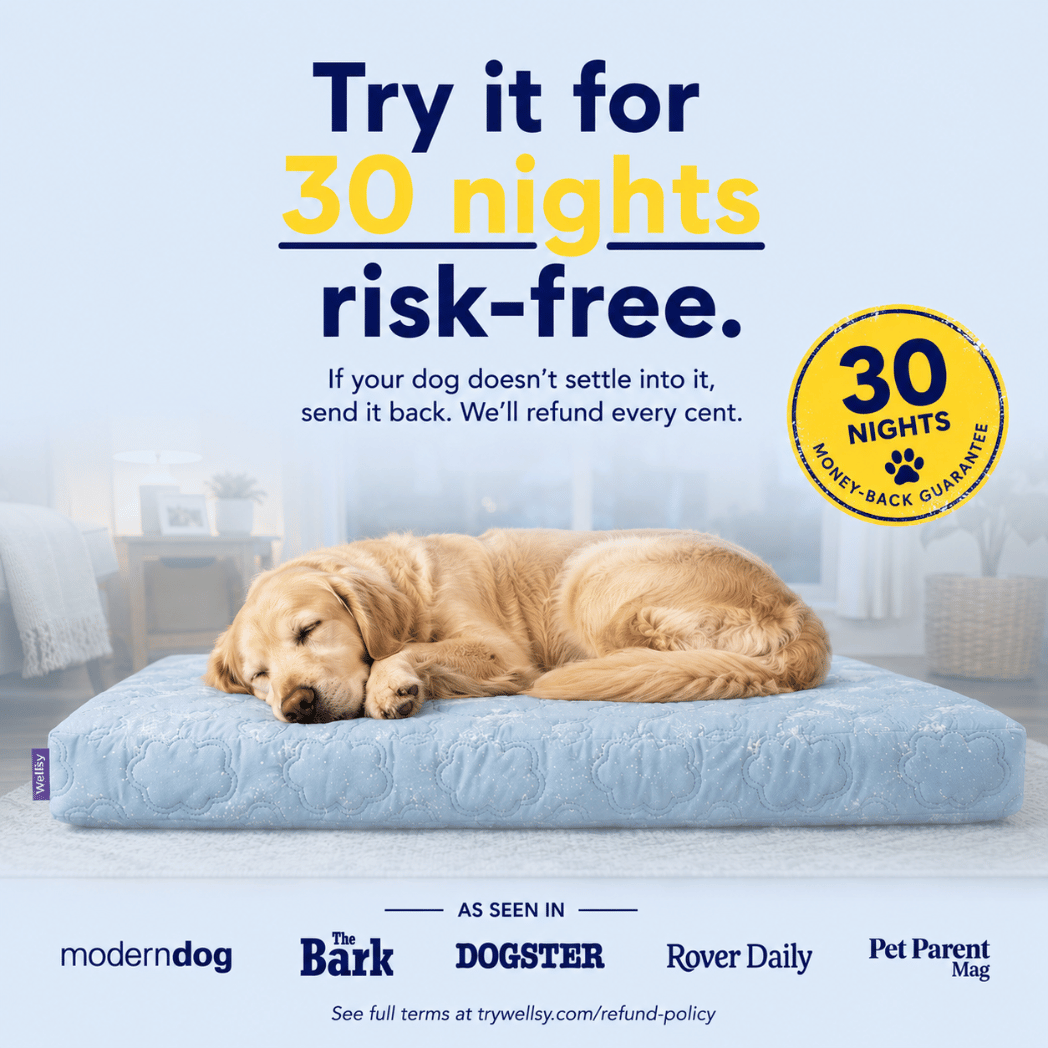 Cool, Cushion & Comfort Your Dog with Wellsy’s Cooling Cloud Dog Bed