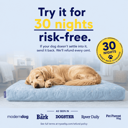 Cool, Cushion & Comfort Your Dog with Wellsy’s Cooling Cloud Dog Bed