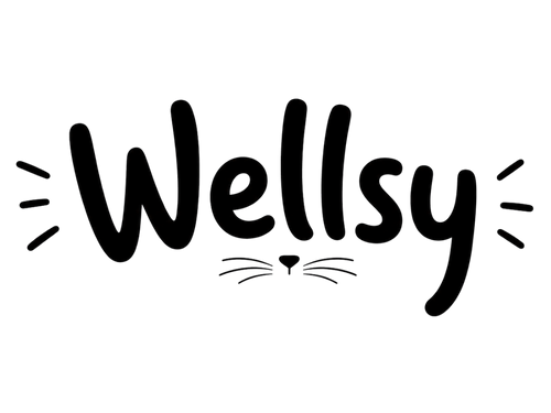 Wellsy